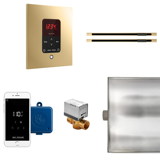 Butler Max Linear Steam Generator Control Kit / Package in Square Polished Brass