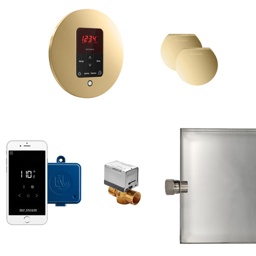 Butler Max Steam Generator Control Kit / Package in Round Polished Brass