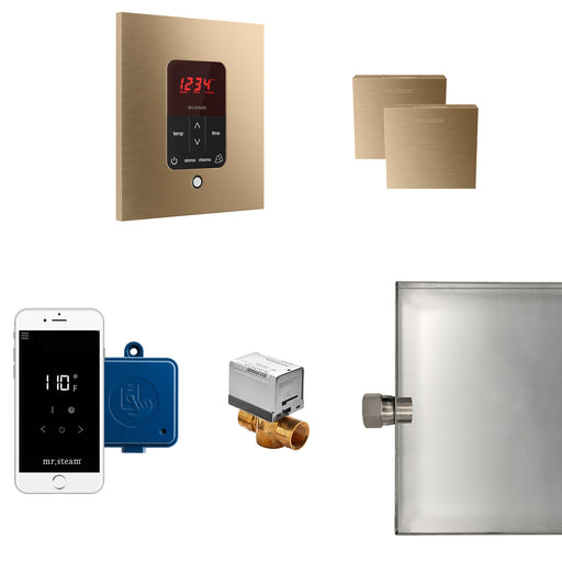 Butler Max Steam Generator Control Kit / Package in Square Brushed Bronze