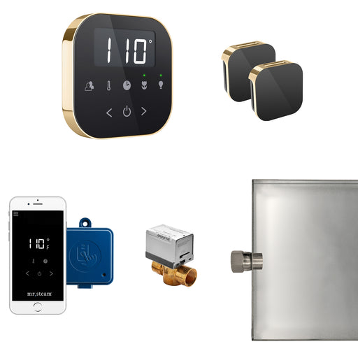 AirButler Max Steam Generator Control Kit / Package in Black Polished Brass