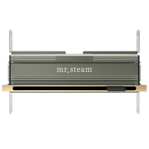 Linear 16 in. Steam Head With AromaTray in Polished Brass