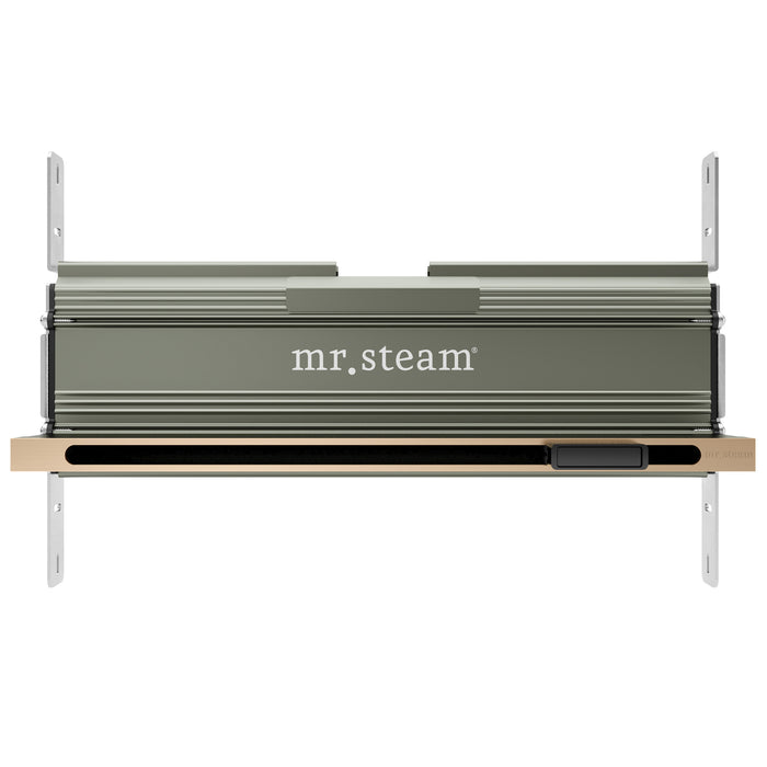 Linear 16 in. Steam Head With AromaTray in Brushed Bronze