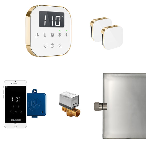 AirButler Max Steam Generator Control Kit / Package in White Polished Brass