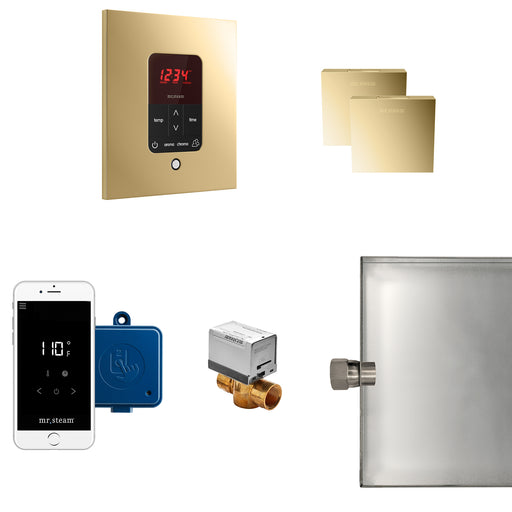 Butler Max Steam Generator Control Kit / Package in Square Polished Brass