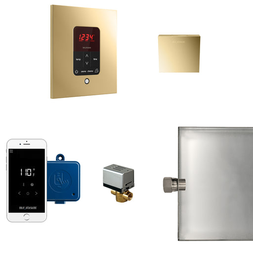 Butler Steam Generator Control Kit / Package in Square Polished Brass