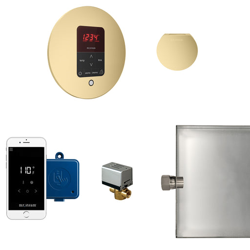 Butler Steam Generator Control Kit / Package in Round Satin Brass