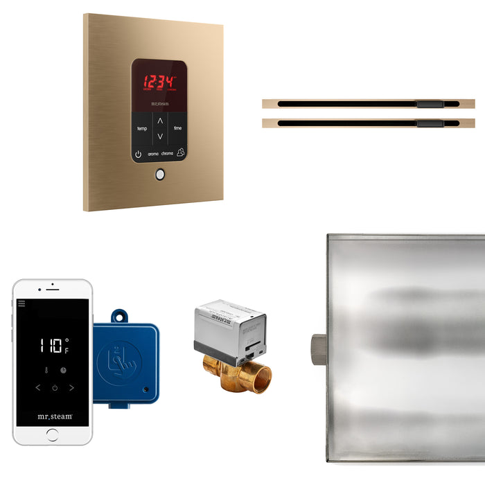 Butler Max Linear Steam Generator Control Kit / Package in Square Brushed Bronze