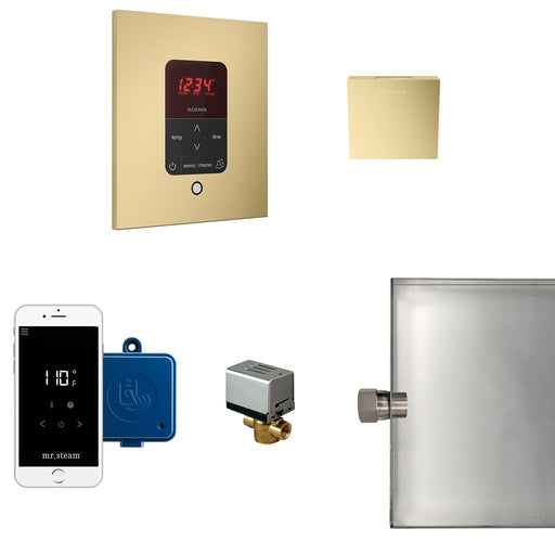 Butler Steam Generator Control Kit / Package in Square Satin Brass