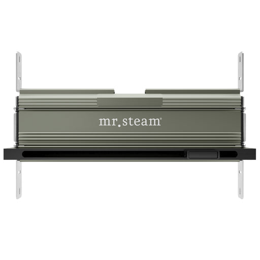 Linear 16 in. Steam Head With AromaTray in Matte Black