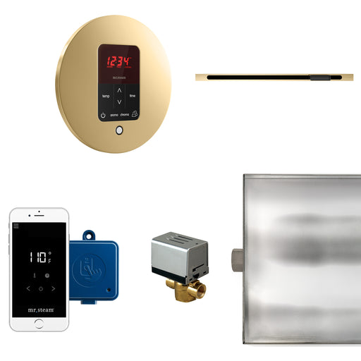 Butler Linear Steam Generator Control Kit / Package in Round Polished Brass