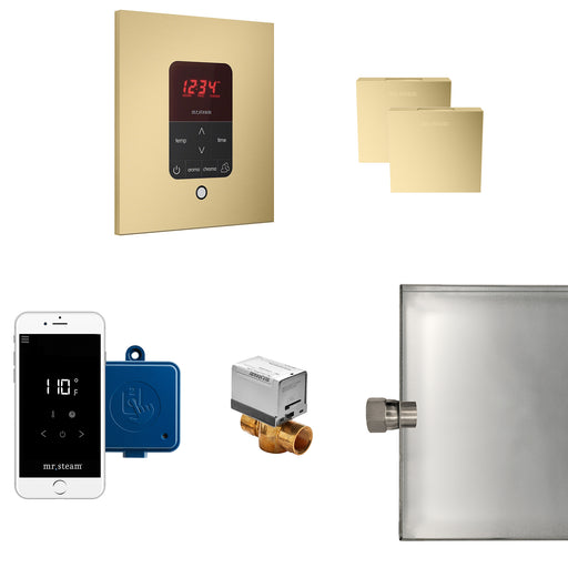 Butler Max Steam Generator Control Kit / Package in Square Satin Brass