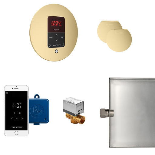 Butler Max Steam Generator Control Kit / Package in Round Satin Brass