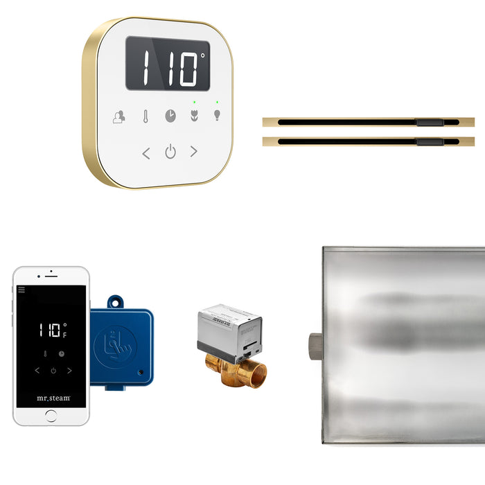 AirButler Max Linear Steam Generator Control Kit / Package in White Satin Brass